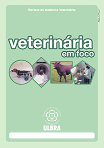 Veterinária em Foco